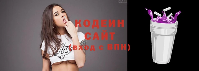 дмт Пестово