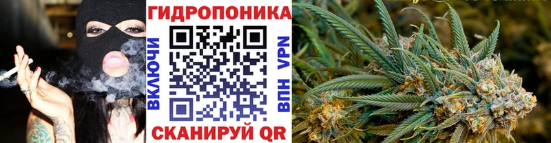 Конопля конопля  Бугуруслан 